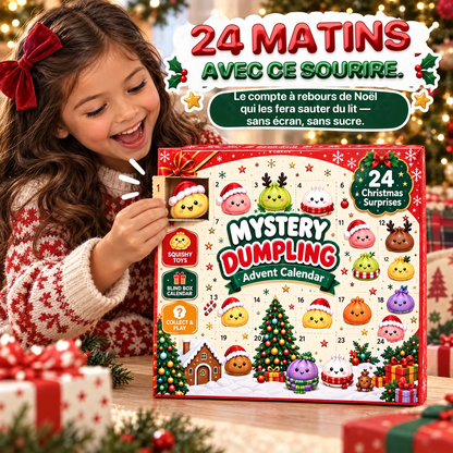 🎄 Calendrier de l’Avent Dumpling Squishy 2026